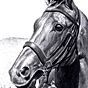 Ian Finlay